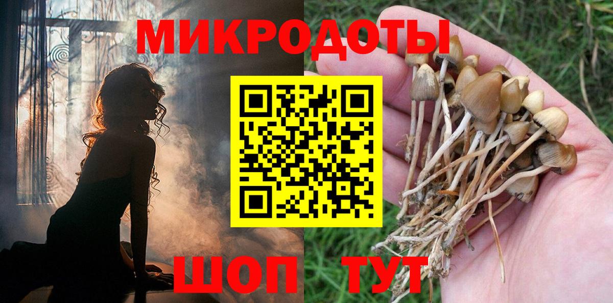 Галлюциногенные грибы прущие грибы Тайшет